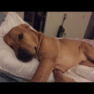 Meet your Posher, Carla